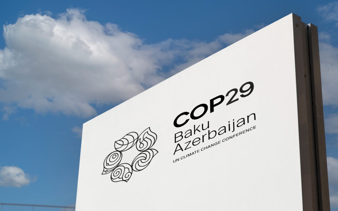 Reflections on COP29 – Progress Amid Challenges, and the Road to Belém