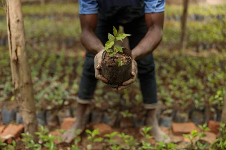FANRPAN facilitates revival of Eswatini’s National Seed Committee