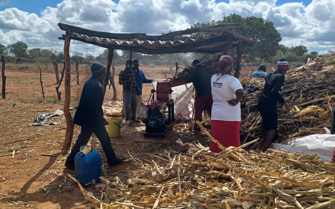 Call for consultants: National Maize Post-Harvest Management Study, Uganda