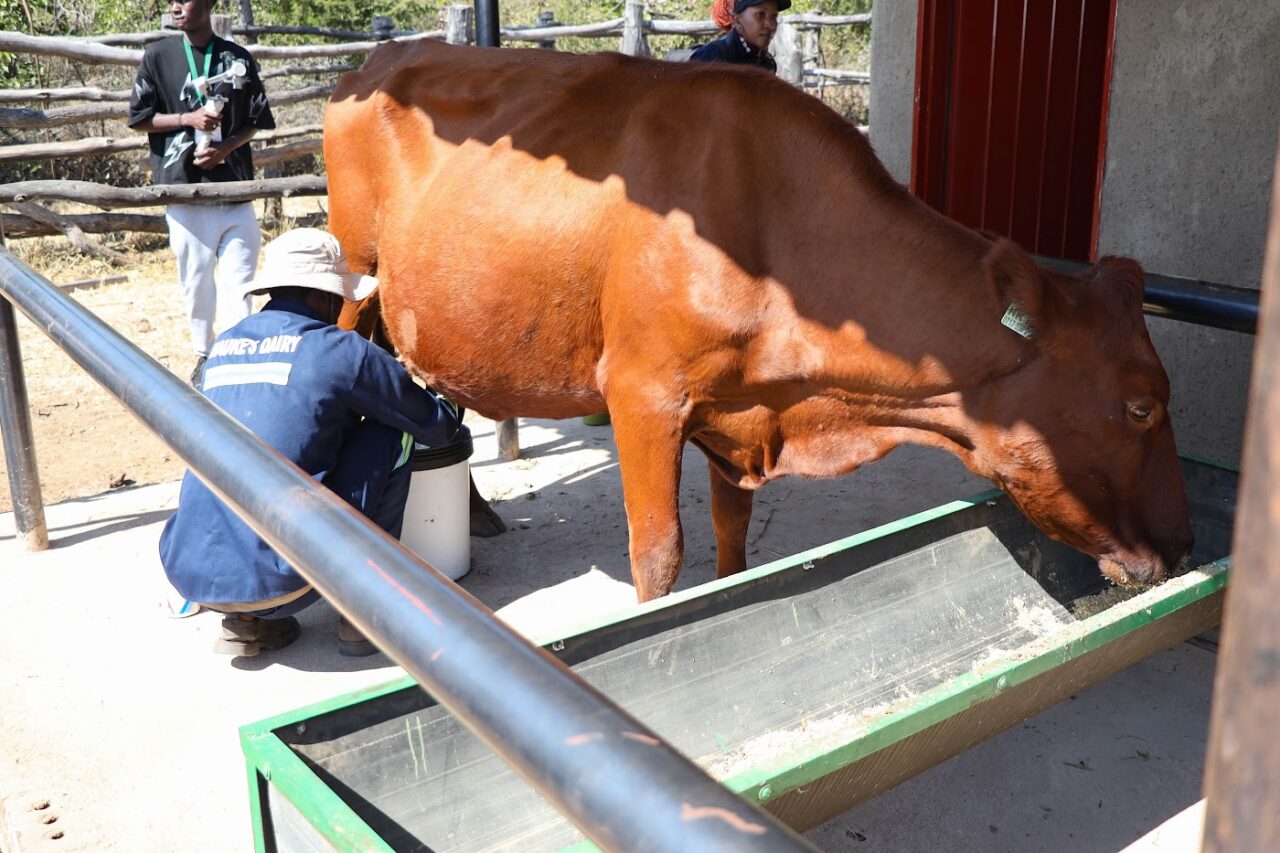 FANRPAN drives Zimbabwe’s push for formal recognition of Community Animal Health Workers