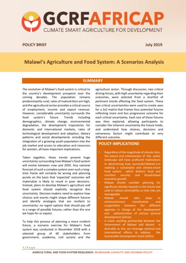 Cover of Malawi’s Agriculture and Food System: A Scenarios Analysis