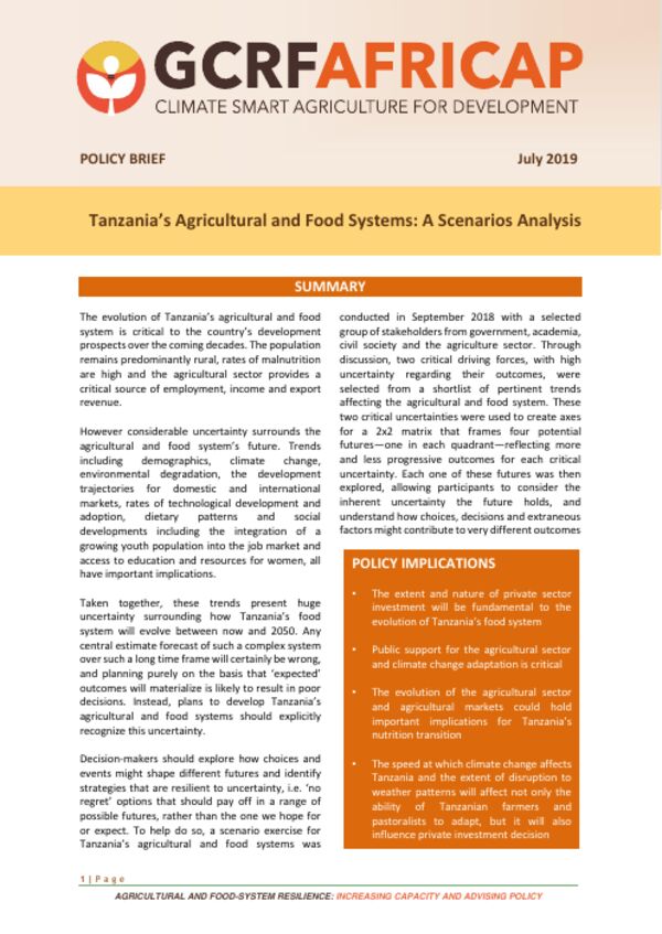 Cover of Tanzania’s Agricultural and Food Systems: A Scenarios Analysis