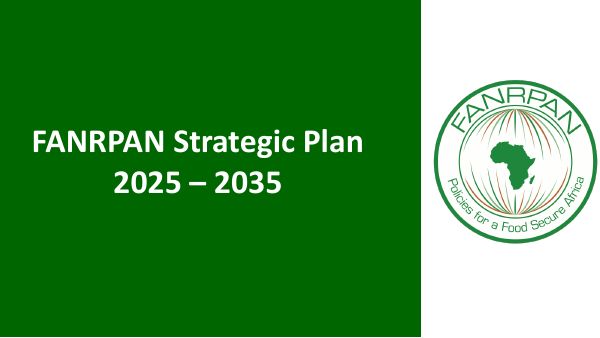 Cover of The 2025 to 2035 Strategy: partners meeting presentation