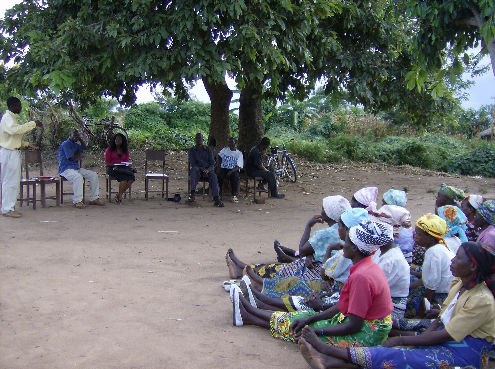 Community meeting under a tree