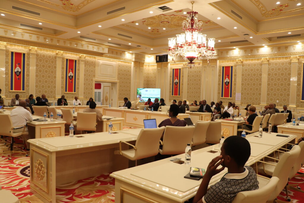 Participants in Small Conference Hall 1 at the Palazzo Convention Centre, Ezulwini.